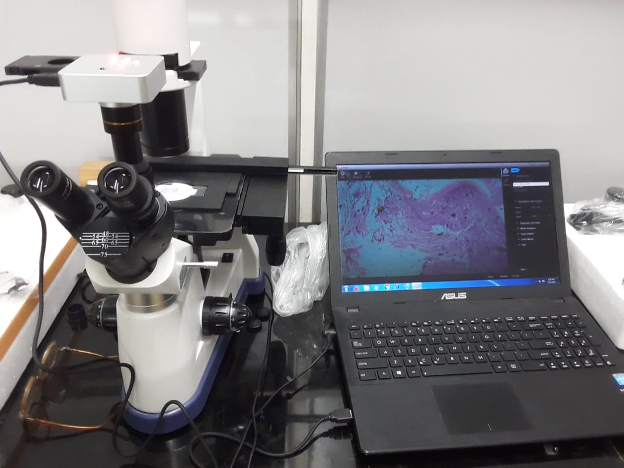 Microscopes - Industrial